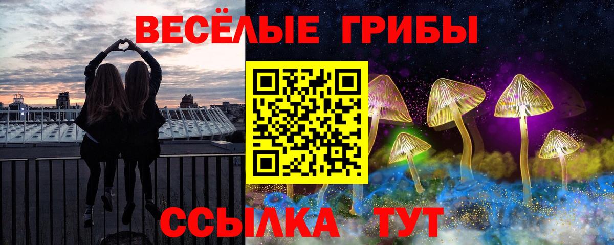 Верхняя Пышма  Псилоцибиновые грибы Cubensis  Вход с VPN 